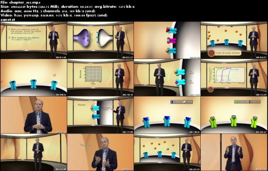 The Addictive Brain (The Great Courses)