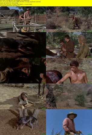 Savage Sam 1963 WEBRip x264-ION10