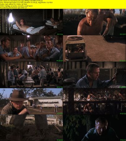 Cool Hand Luke 1967 BRRip XviD MP3-XVID