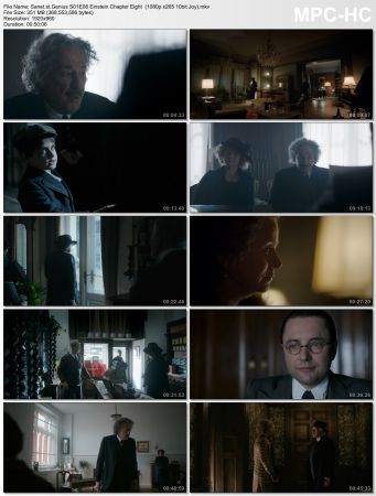 Genius 2017 Season 01 1080p WEBRip x265 HEVC 10bit AAC 5.1 Joy UTR