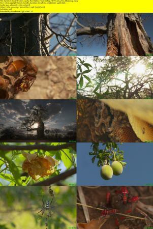 BlueAntMedia - Rooted: Series 1 (2017) 1080p HDTV x264 AAC MVGroup