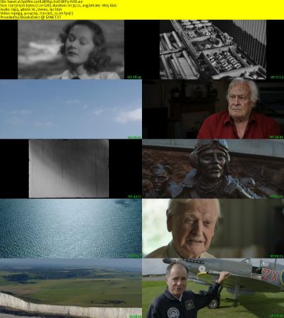 Spitfire 2018 BRRip XviD MP3-XVID