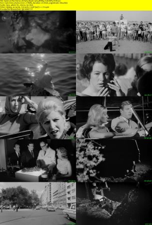 The Horror of Party Beach 1964 BRRip XviD MP3-XVID