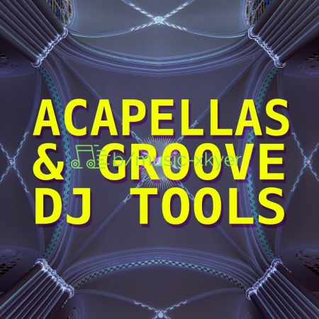 VA - Acapellas and Groove DJ Tools (2018)