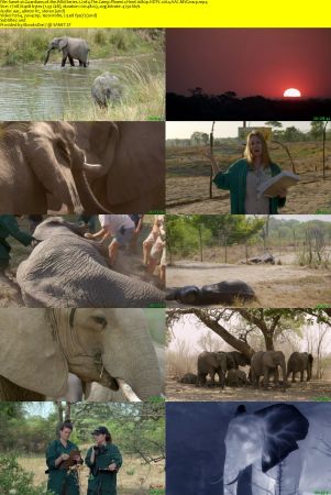 Smithsonian Earth - Guardians of the Wild: Series 1 (2017) 1080p HDTV x264 AAC MVGroup