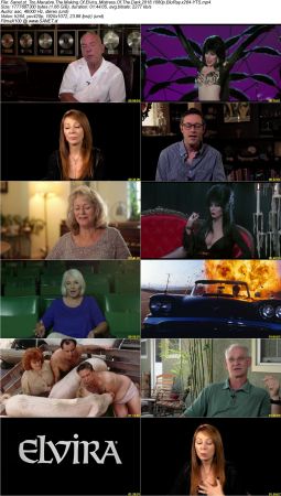 Too Macabre The Making Of Elvira Mistress Of The Dark 2018 1080p BluRay x264-YTS