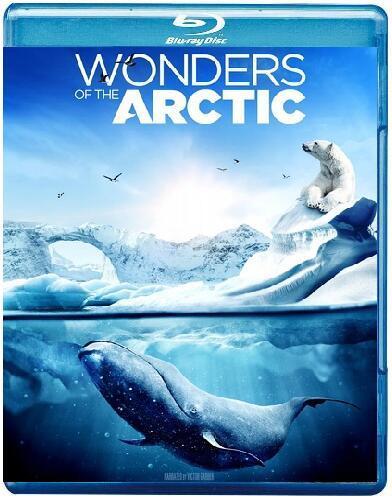 Wonders of the Arctic 2014 DOCU 1080p BluRay x264 TrueHD 7.1 Atmos-SWTYBLZ