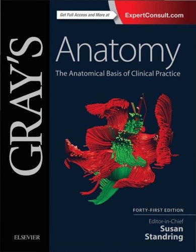 Gray's Anatomy: The Anatomical Basis of Clinical Practice, 41st Edition