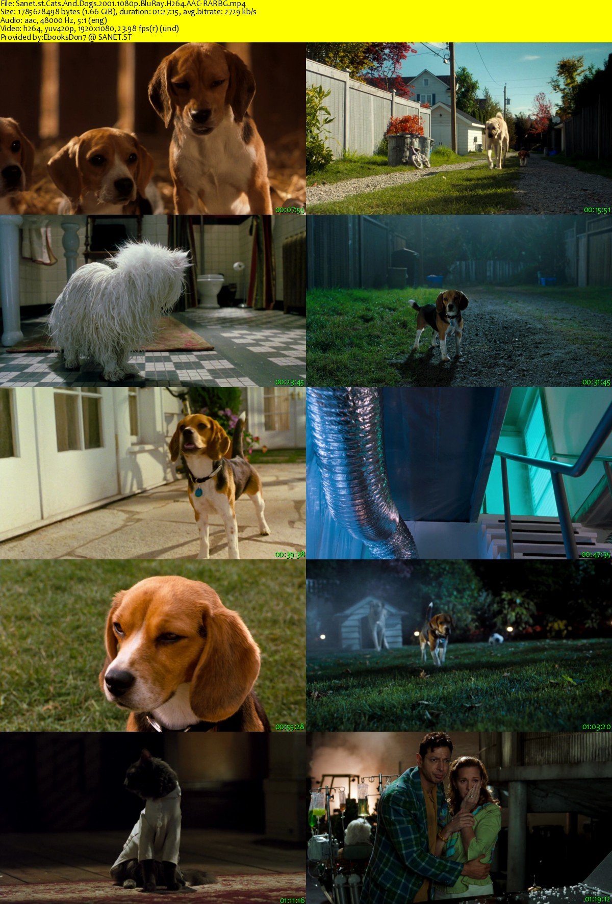 Cats And Dogs 2001 1080p BluRay H264 AACRARBG SoftArchive