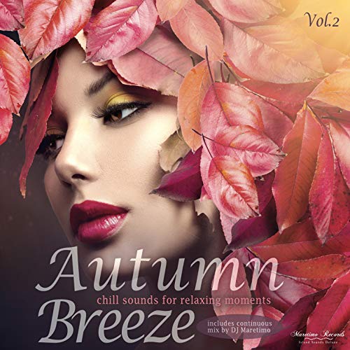 VA - Autumn Breeze Vol. 2 - Chill Sounds for Relaxing Moments (2018) Mp3 / Flac