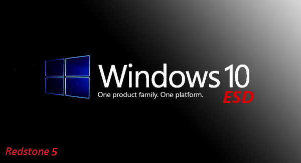 Windows 10 X64 Redstone 5 6in1 en-US OCT 2018