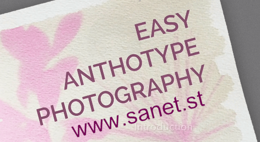 Easy Anthotype Photography