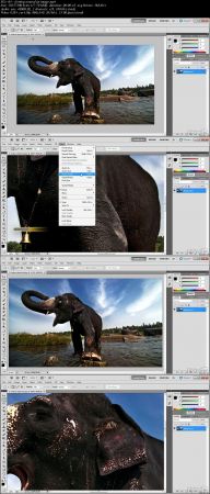 Learning Photoshop for Photography