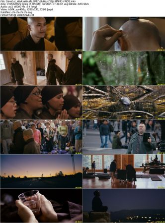 Walk with Me 2017 BluRay 720p MNHD-FRDS