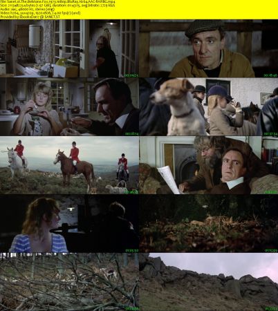 The Belstone Fox 1973 1080p BluRay H264 AAC-RARBG