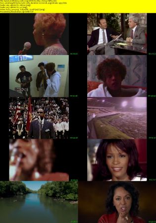 Whitney 2018 720p WEB-DL DD5.1 H264-CMRG