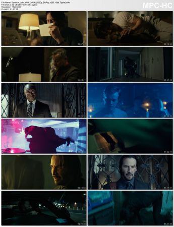 John Wick 2014 1080p BluRay x265 HEVC 10bit AAC 7.1 Tigole