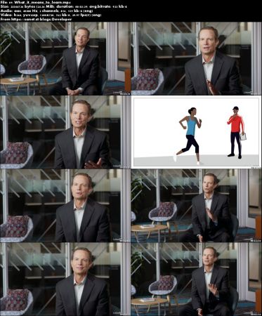Working with an Executive Coach