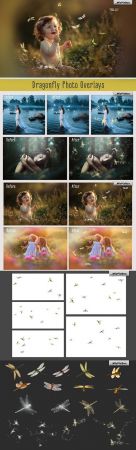 Dragonfly Photo Overlays - 2436954