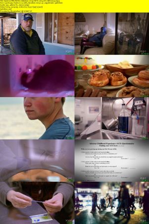 PBS - NOVA: Addiction (2018) 720p HDTV x264 AAC MVGroup