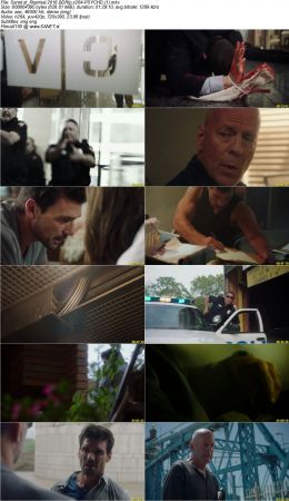 Reprisal 2018 BDRip x264-PSYCHD
