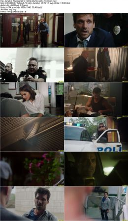 Reprisal 2018 1080p BluRay x264-PSYCHD