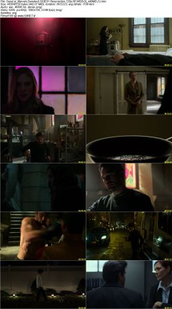 Marvels Daredevil S03 COMPLETE 720p NF WEB-DL 5.4GB SHERIF