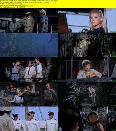 Assault on a Queen 1966 UNRATED 1080p BluRay H264 AAC-RARBG