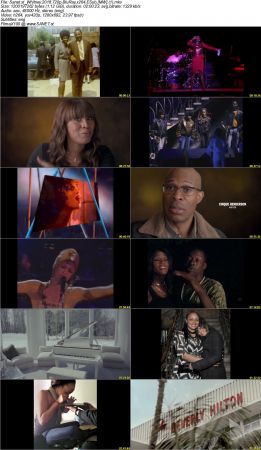 Whitney 2018 720p BluRay x264 ESub MW