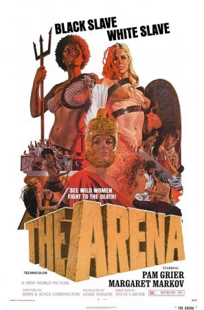 The Arena 1974 WEBRip x264-ION10