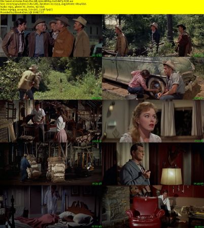Home from the Hill 1960 BRRip XviD MP3-XVID