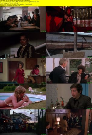 TNT Jackson 1974 WEBRip x264-ION10