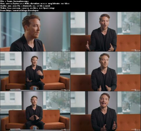 Shane Snow on Dream Teams