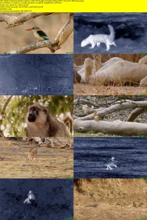 Smithsonian Earth - Africas Hunters: Series 1 (2015) 1080p HDTV x264 AAC MVGroup