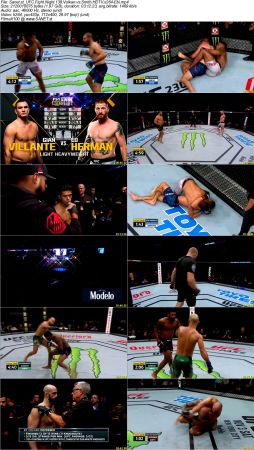 UFC Fight Night 138 Volkan vs Smith HDTV x264-Ebi