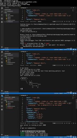Learning npm the Node Package Manager