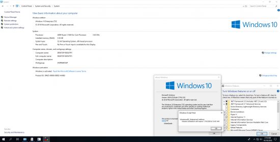 Windows 10 RS5 Enterprise LTSC 1809.10.0.17763.55 VL (x86-x64) Preactivated 2019
