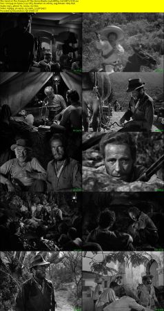 The Treasure Of The Sierra Madre 1948 BRRip XviD MP3-XVID