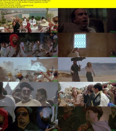 The Jewel Of The Nile 1985 720p BluRay H264 AAC-RARBG