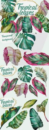 Tropical Greenery, Tropical Leaves - 2661764