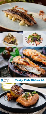 Photos   Tasty Fish Dishes 66
