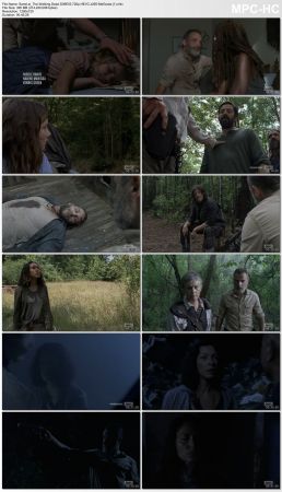 The Walking Dead S09E03 720p HEVC x265-MeGusta