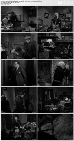 The Invisible Man 1933 BluRay 10Bit 1080p AC3 Multi H265-d3g