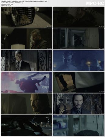 John Wick 2014 2160p BluRay x265 HEVC 10bit HDR AAC 7.1 Tigole