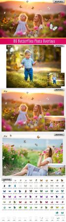 Butterflies Photo Overlays - 2572842