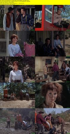 Something for a Lonely Man 1968 WEBRip x264-ION10