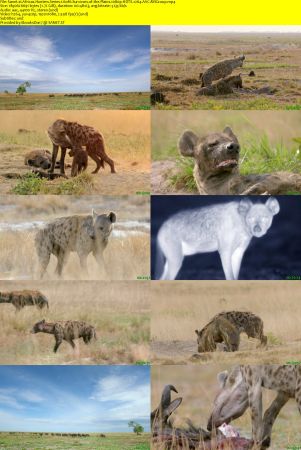 Smithsonian Earth - Africas Hunters: Series 1 (2015) 1080p HDTV x264 AAC MVGroup