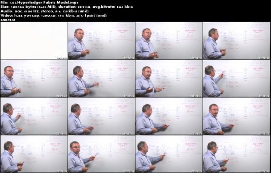 Certified Blockchain Solution Architect (CBSA) Complete Video Course