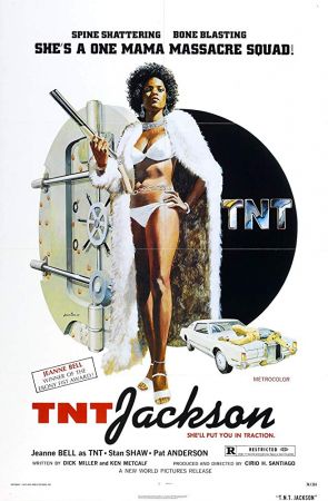 TNT Jackson 1974 WEBRip x264-ION10