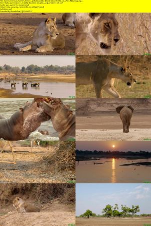 Smithsonian Earth - Africas Hunters: Series 1 (2015) 1080p HDTV x264 AAC MVGroup